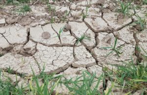 I decessi e le malattie legate alle ondate di calore sono aumentati, e aumenteranno ancora