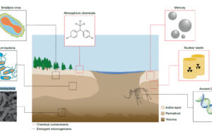 Se il permafrost si scioglie non rilascia solo metano, ma anche batteri e virus