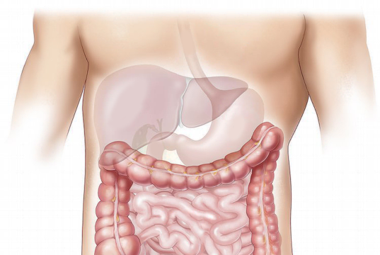 Antibiotici e diverticolite: dieci anni dopo le linee guida, le prescrizioni restano altissime. Uno studio VA rivela un problema ancora irrisolto