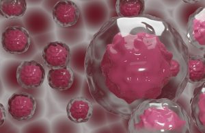 Identificata una molecola in grado di bloccare la riproduzione delle cellule tumorali