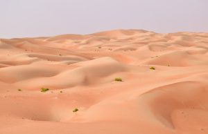 Emirati Arabi Uniti: un (breve) itinerario nel deserto di sabbia più grande del mondo