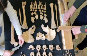 In 2.000 anni, dall’epoca romana ai giorni nostri, l’altezza dei milanesi non è cambiata