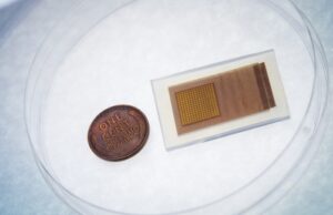 Un cerotto ecografico che analizza il flusso sanguigno cerebrale (VIDEO)