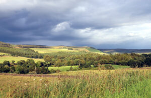 Inghilterra da guidare, lo Yorkshire: dalle brughiere selvagge, ai pittoreschi villaggi, fino alle scogliere della costa