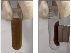 Colonscopia addio? Arriva la diagnosi hi-tech con batteri luminosi