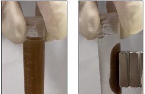 Colonscopia addio? Arriva la diagnosi hi-tech con batteri luminosi