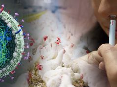 Vaccino influenzale intranasale: risultati promettenti da uno studio clinico randomizzato