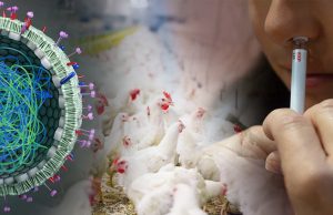 Vaccino influenzale intranasale: risultati promettenti da uno studio clinico randomizzato