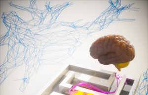 Svelato il triplo nodo coinvolto nell’infarto miocardico: cuore, cervello e neuroimmunità nel mirino della ricerca