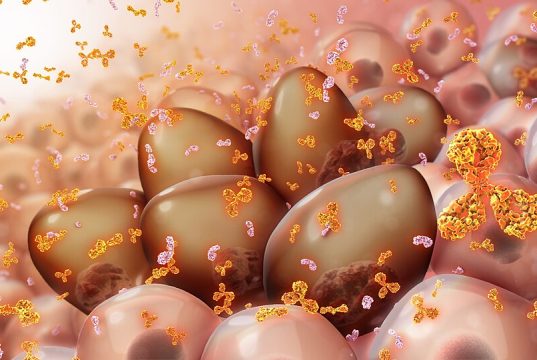 Mieloma multiplo, il cevostamab apre la strada a un nuovo bersaglio terapeutico
